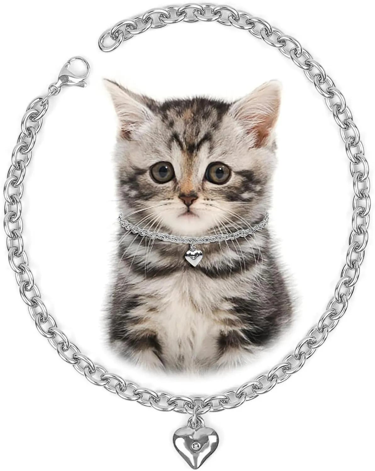 HOWWFALY Dog Collar and Cat Chain Necklace Stainless Steel Adjustable 18K Sliver Heart-Shaped Necklace for Small Pets Cats Kitten Puppy (Sliver, 7 inch)
