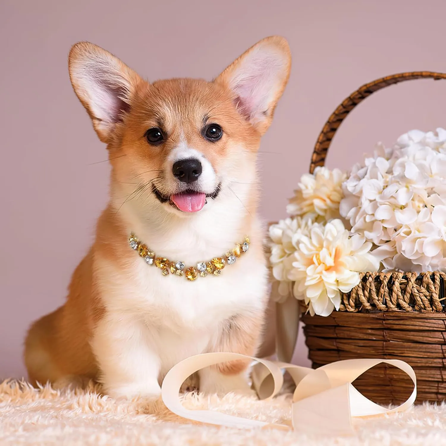HOWWFALY Dog Collar and Cat Gold Chain Necklace Stainless Steel Adjustable Yellow Diamonds Collar with Cute Pet Paw for Small Medium Pets Cats Dogs Kitten Puppy