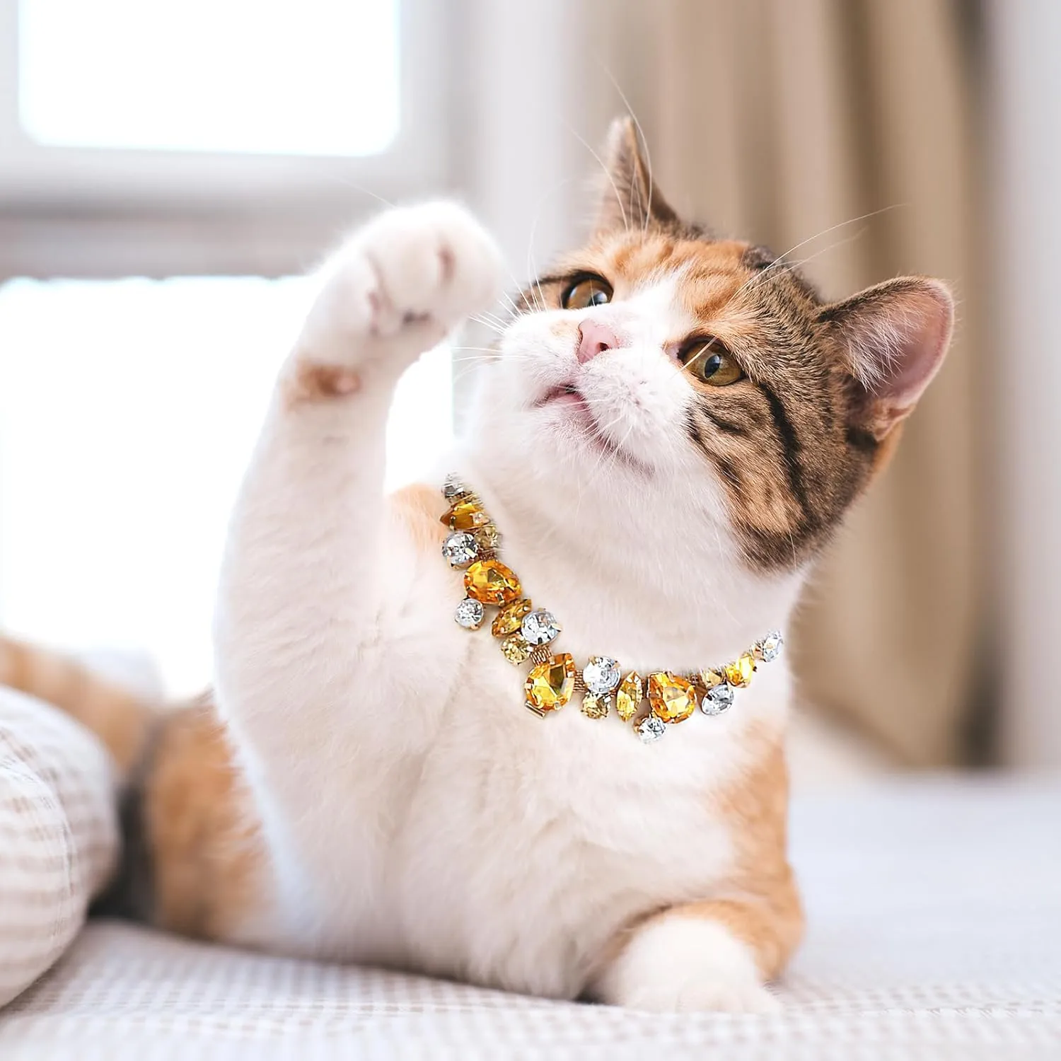 HOWWFALY Dog Collar and Cat Gold Chain Necklace Stainless Steel Adjustable Yellow Diamonds Collar with Cute Pet Paw for Small Medium Pets Cats Dogs Kitten Puppy