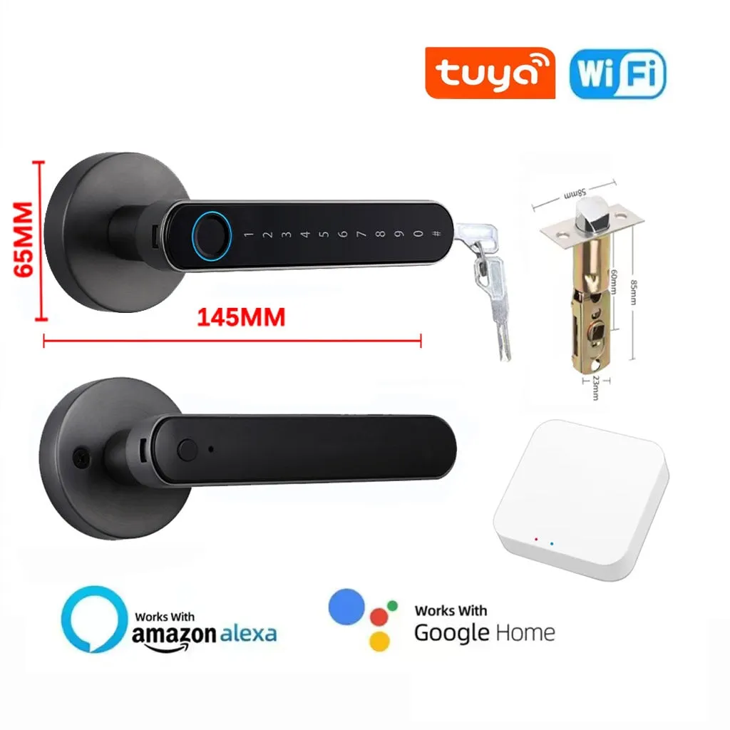 iSM06 Biometric Smart Lock