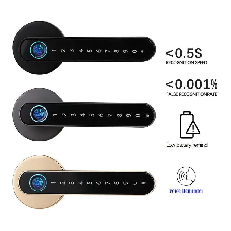iSM06 Biometric Smart Lock