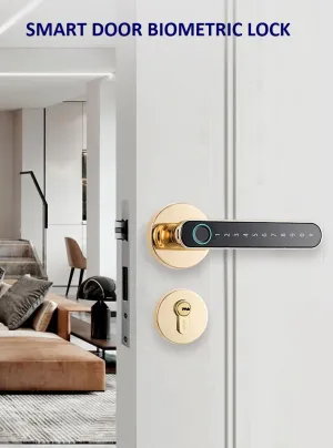 iSM06 Biometric Smart Lock