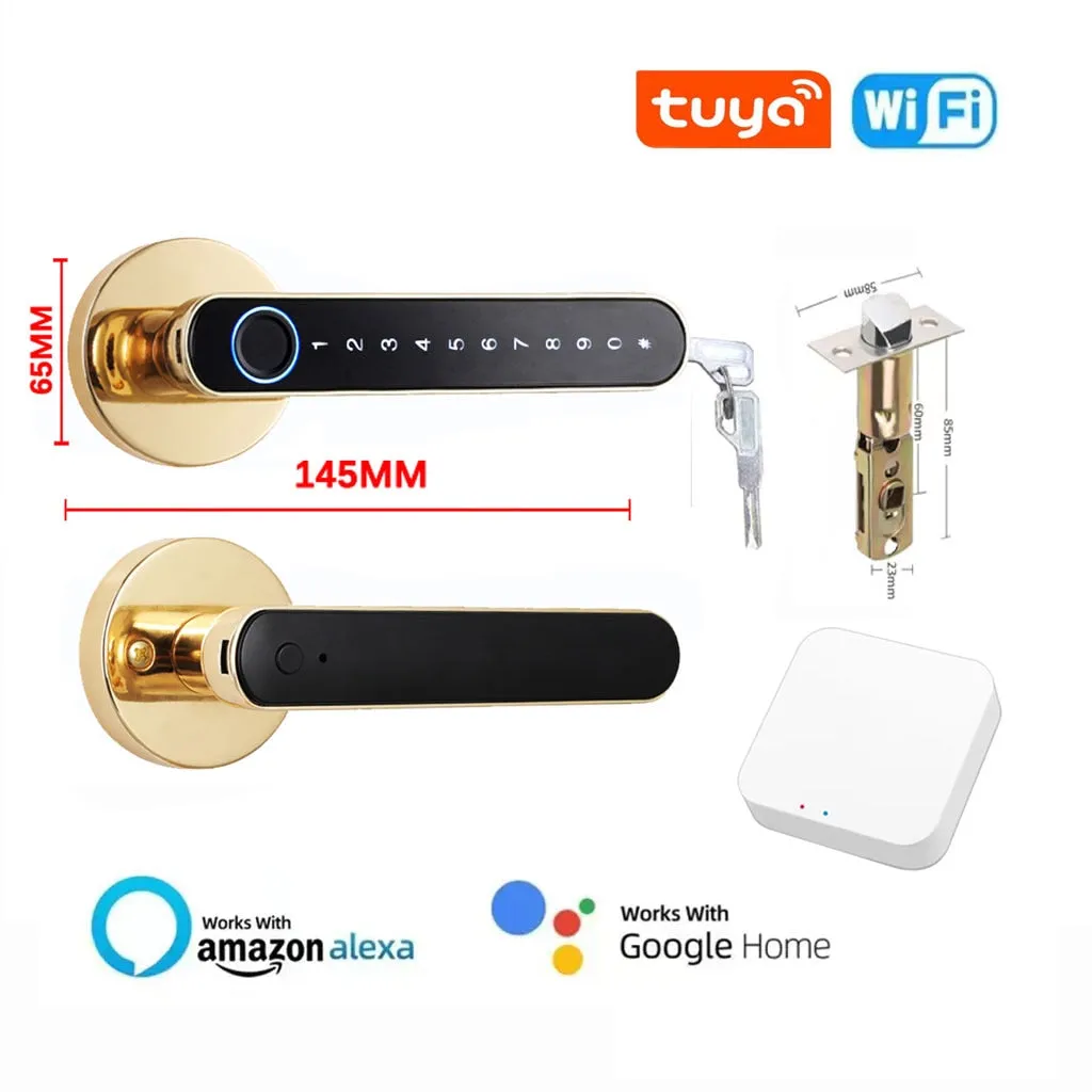 iSM06 Biometric Smart Lock