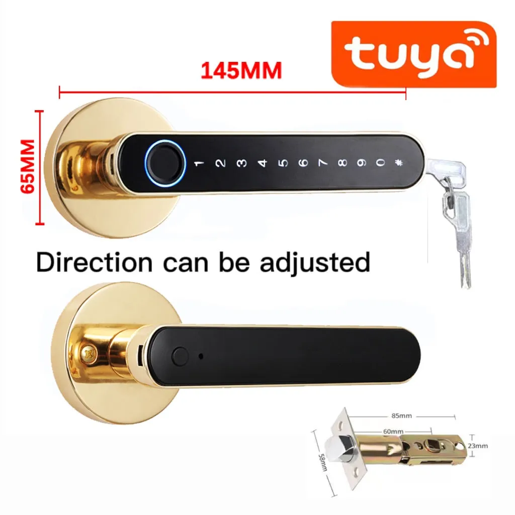 iSM06 Biometric Smart Lock