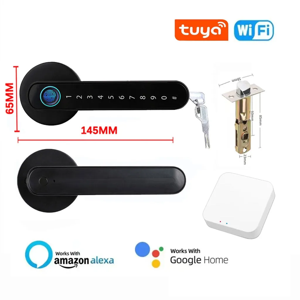 iSM06 Biometric Smart Lock