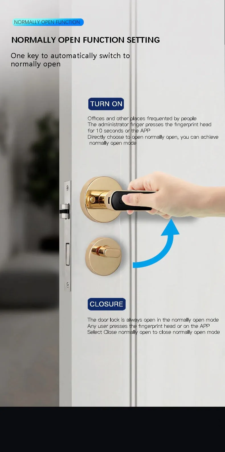 iSM06 Biometric Smart Lock