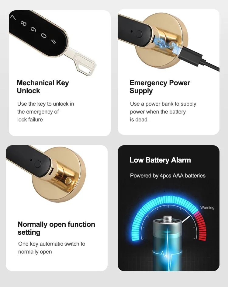 iSM06 Biometric Smart Lock