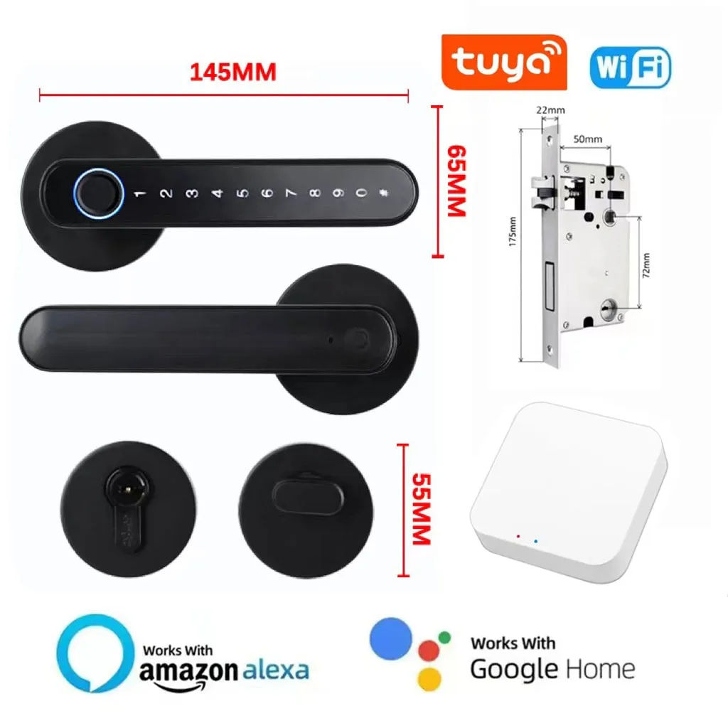 iSM06 Biometric Smart Lock