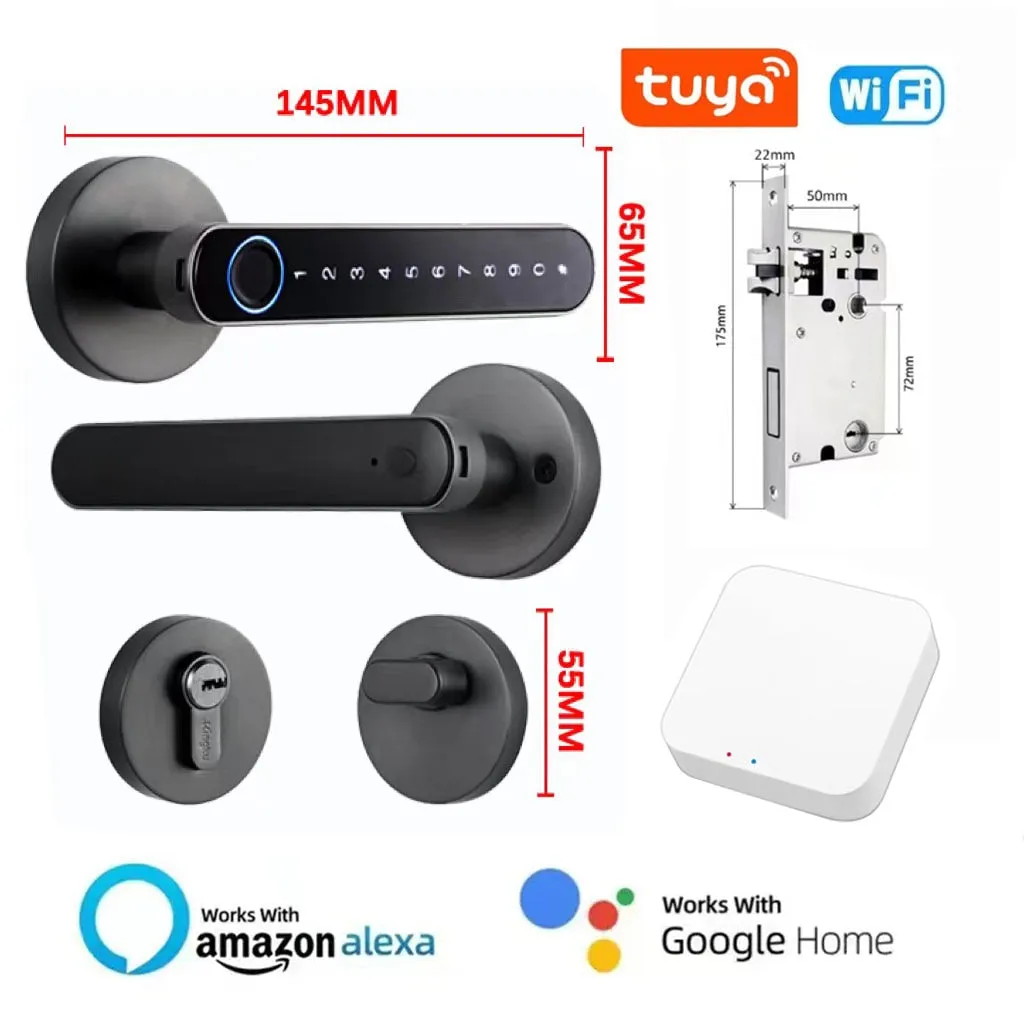 iSM06 Biometric Smart Lock
