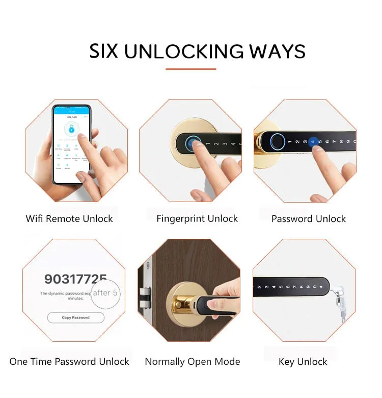 iSM06 Biometric Smart Lock