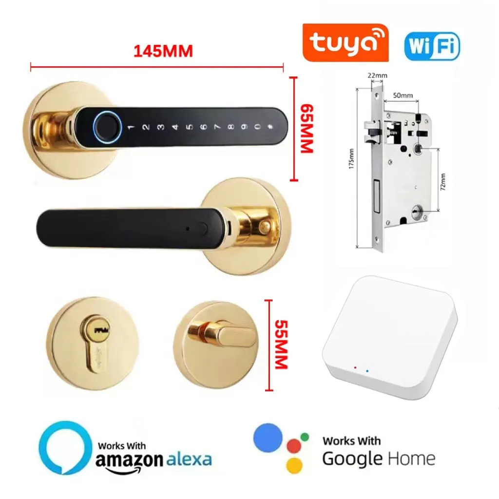 iSM06 Biometric Smart Lock