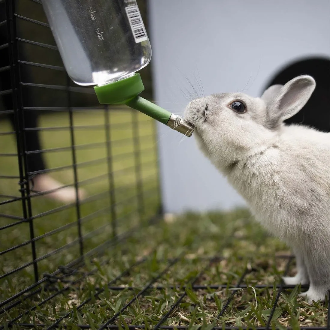 Kazoo Drinking Bottle Rabbit 800ml