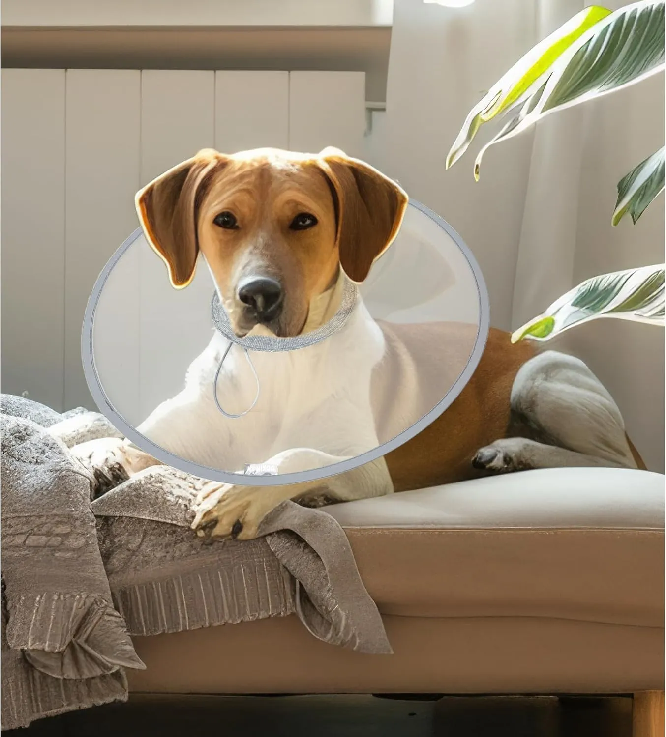 KUDES Cat Dogs Cone E Collar with Low Noise Fasteners Glow in The Dark, Transparent Cat Recovery Collar, Licking and Scratching Free Cone, Extra Soft Small Medium Dog Pet Surgery Collar