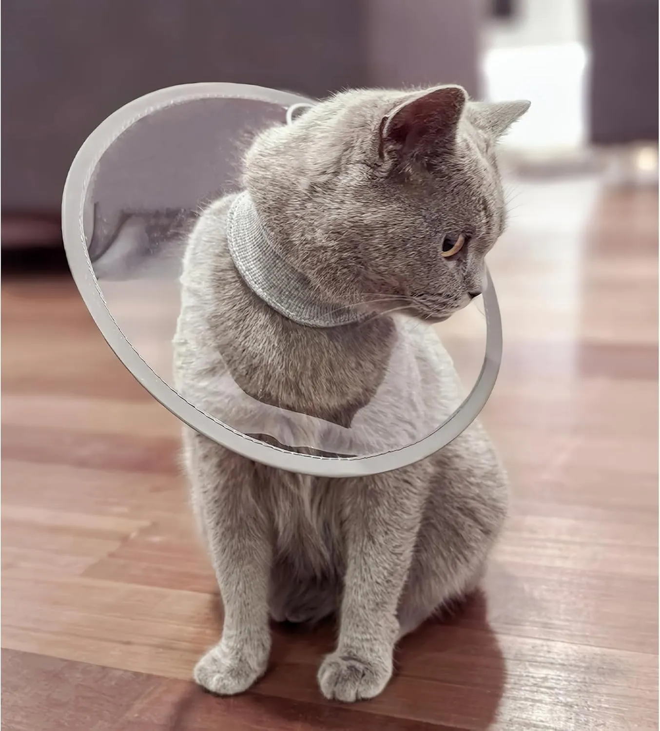 KUDES Cat Dogs Cone E Collar with Low Noise Fasteners Glow in The Dark, Transparent Cat Recovery Collar, Licking and Scratching Free Cone, Extra Soft Small Medium Dog Pet Surgery Collar