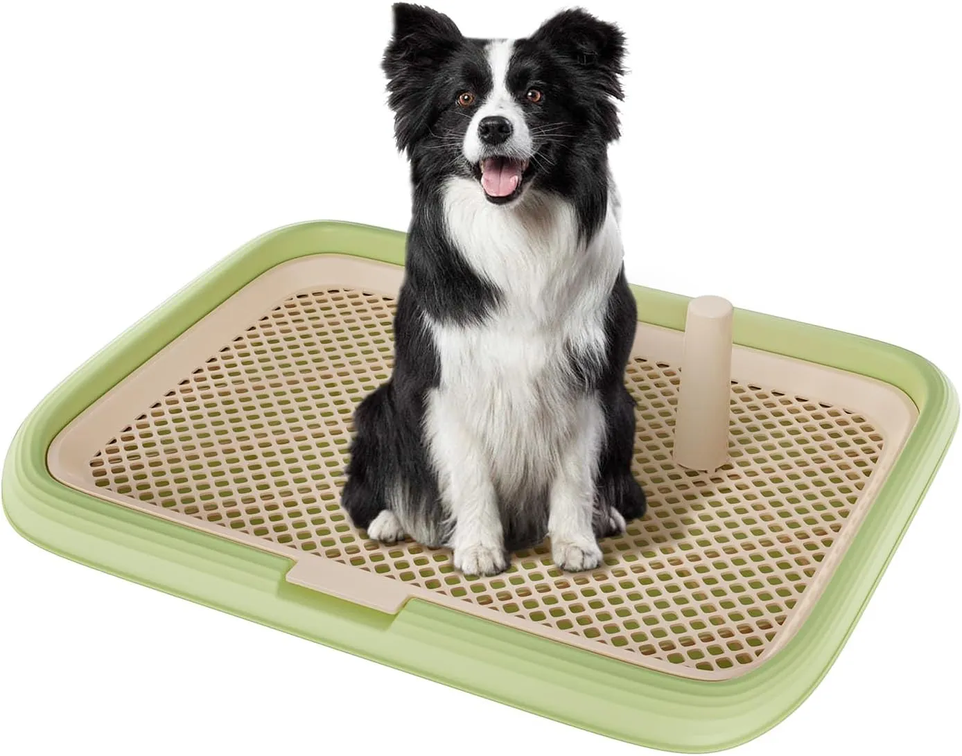 Large 23.6"x17.7" Dog Potty Tray, Indoor Pet Pee Pad Holder with Mesh Floor,Bathroom Dog Litter Box, Pet Toilet (Green)