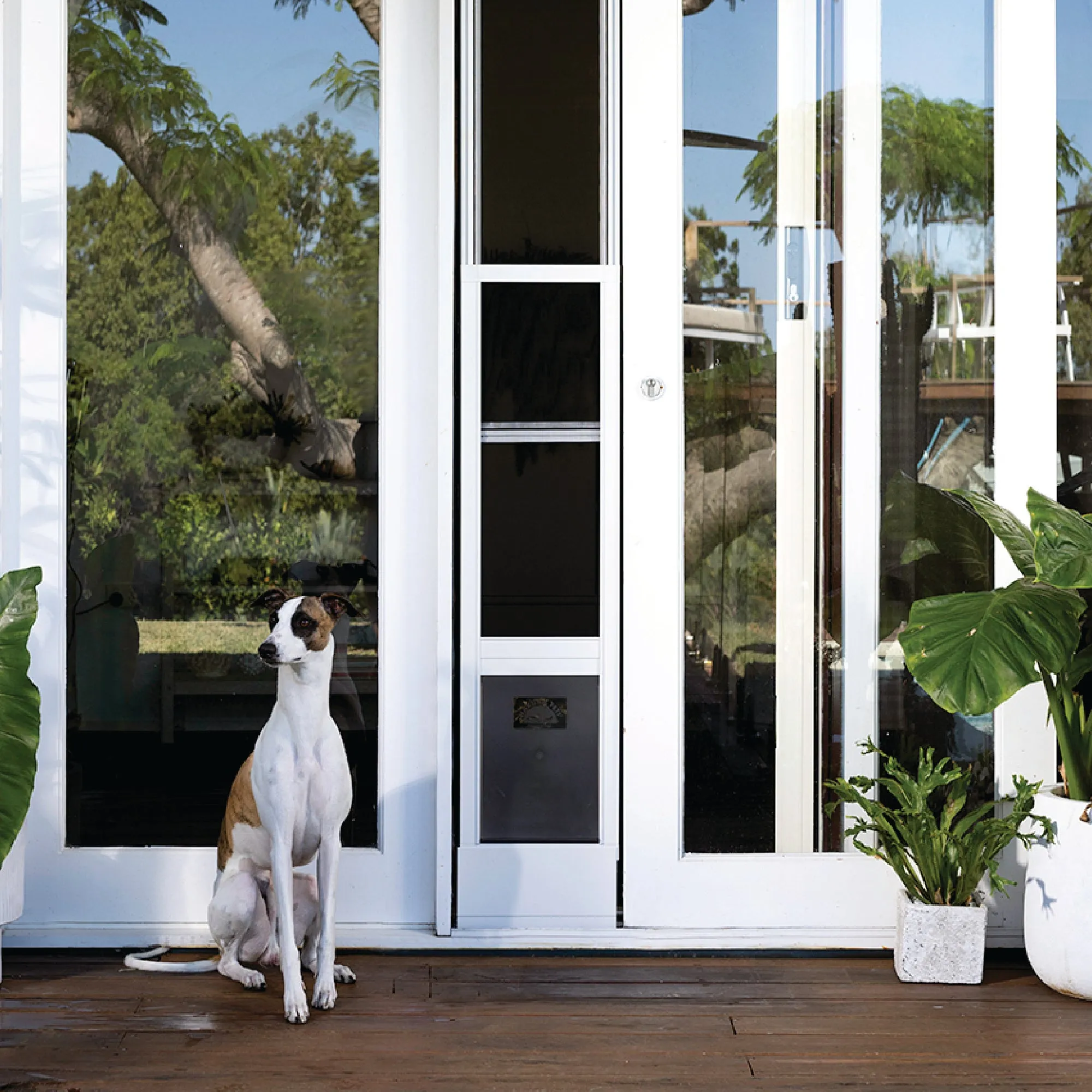 Mesh Patio Pet Door - Without Clear Weather Resistant Panels