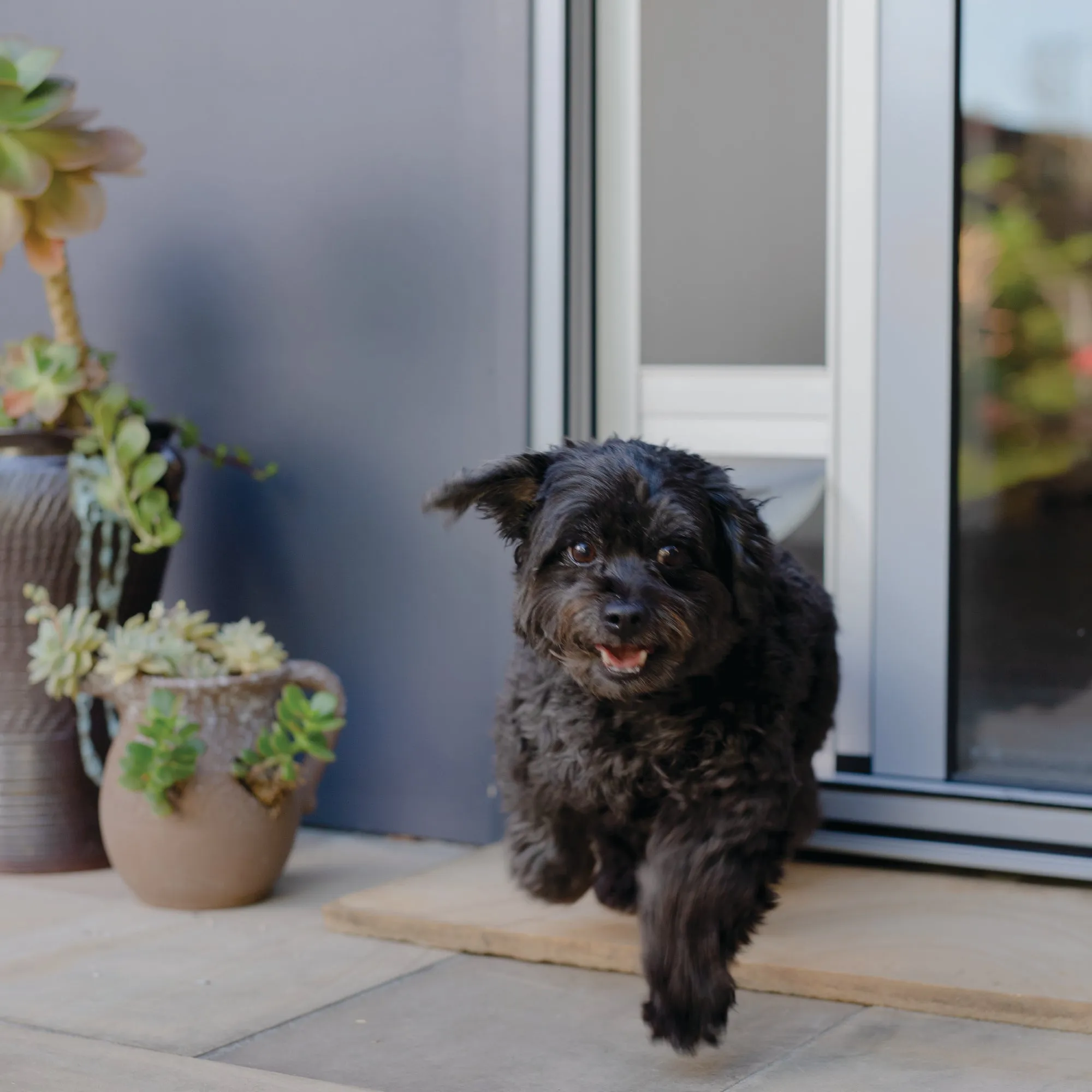 Mesh Patio Pet Door - Without Clear Weather Resistant Panels