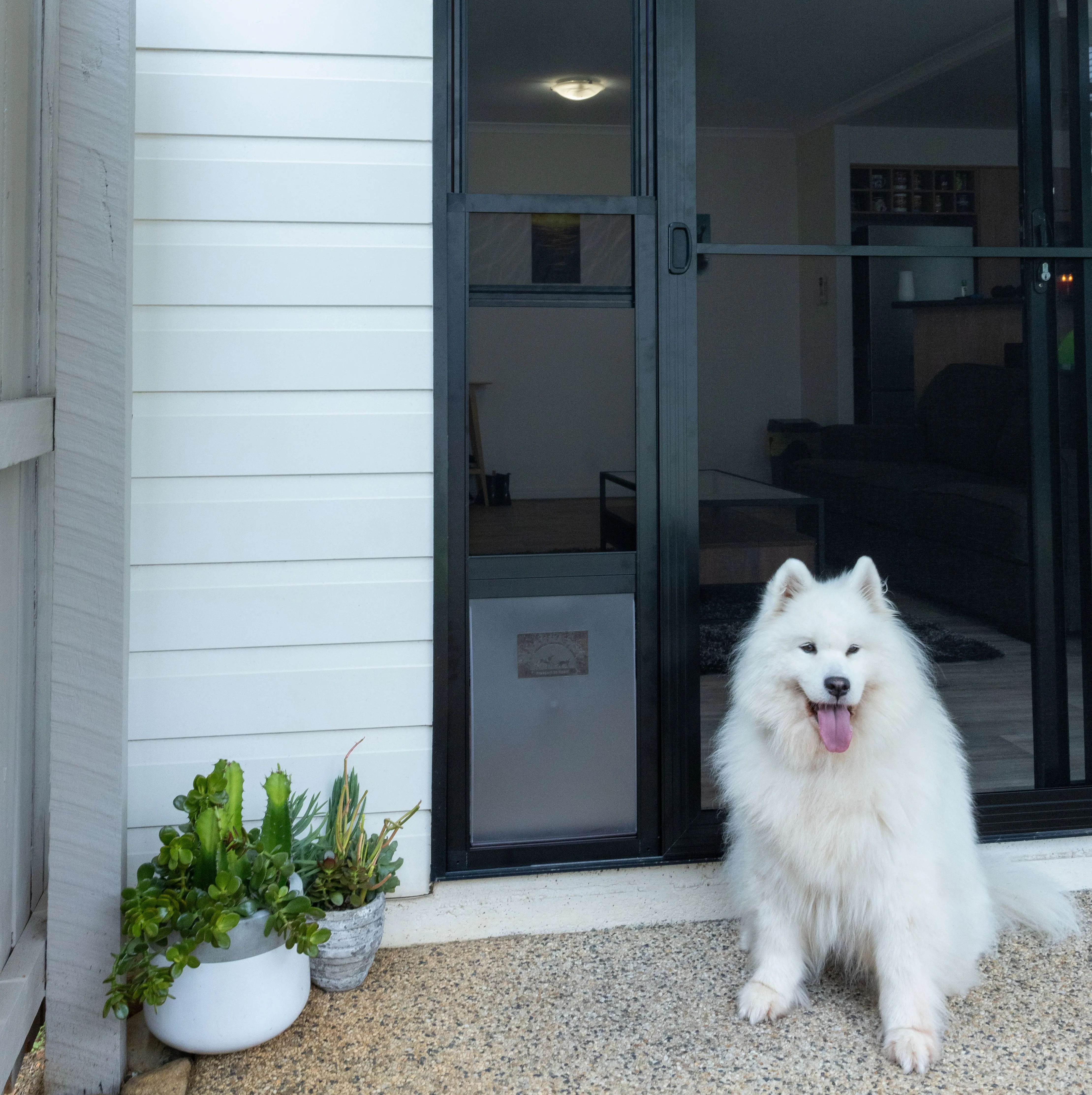 Mesh Patio Pet Door - Without Clear Weather Resistant Panels