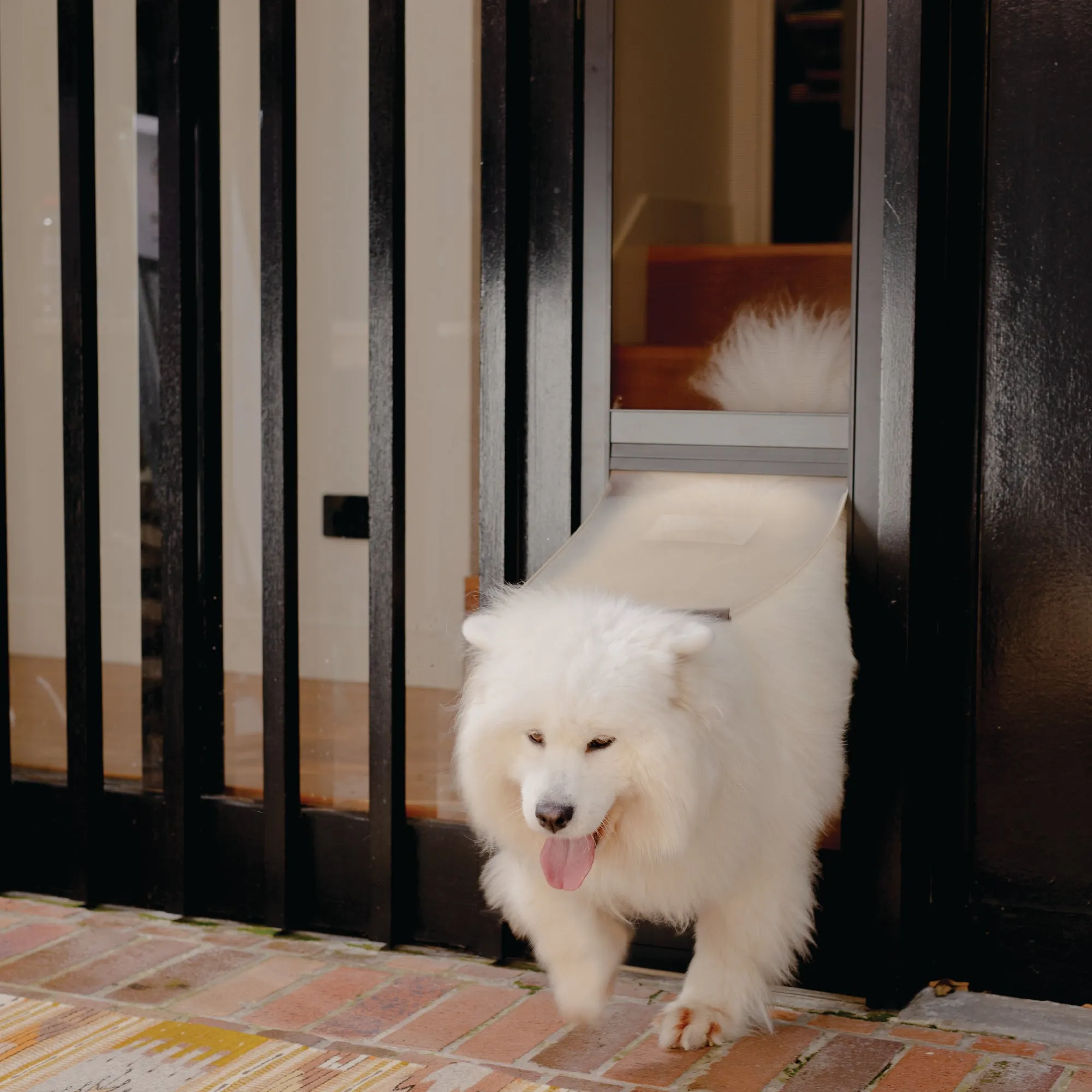 Mesh Patio Pet Door - Without Clear Weather Resistant Panels