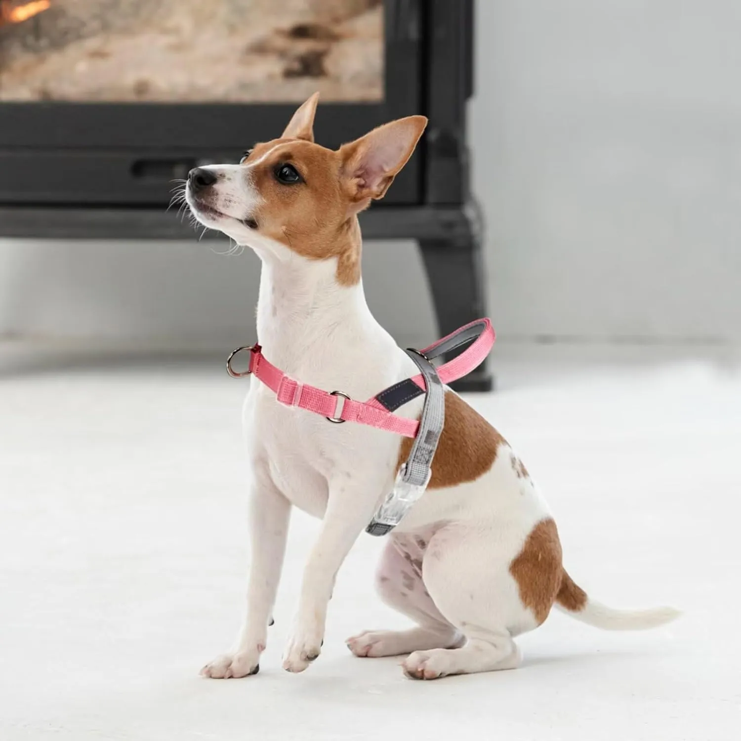 No Pull Dog Harness, Easy Walk Dog Harness,Freedom No Pull Dog Harness for Small Medium Dogs, Neck&Chest Adjustable, Soft Padded & Reflective Strip Escape Proof Dog Harness(Pink,S)