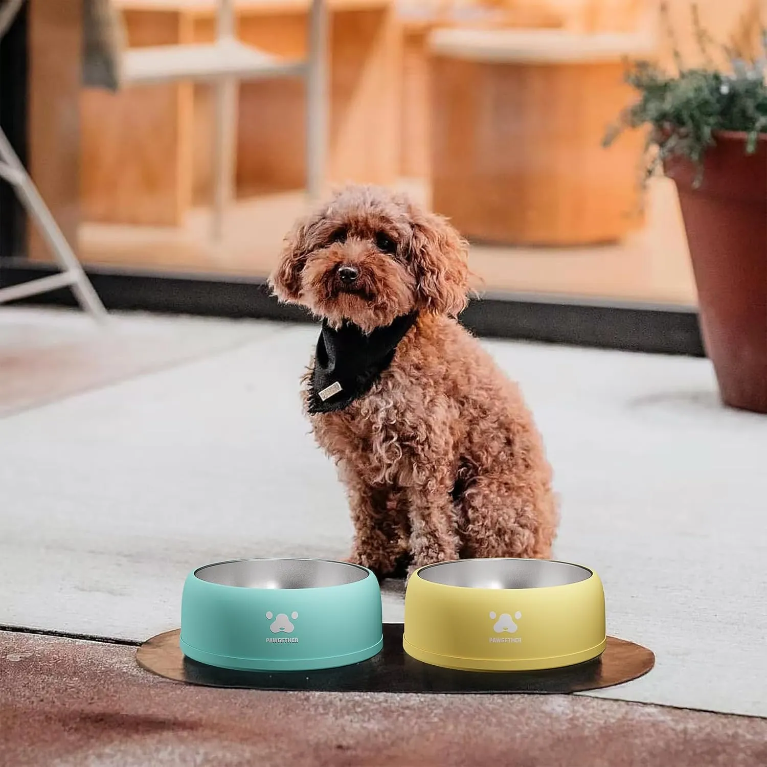 PAWGETHER Stainless Steel Dog Bowls, Dog Food and Water Bowl Non-Slip Easy to Clean Dishwasher Safe for Puppy Small Medium Dogs Cats White 34oz