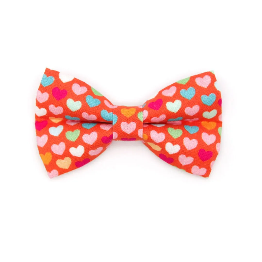 Pet Bow Tie - "Modern Love" - Candy Hearts on Red Cat Bow Tie / Valentine's Day / For Cats   Small Dogs (One Size)