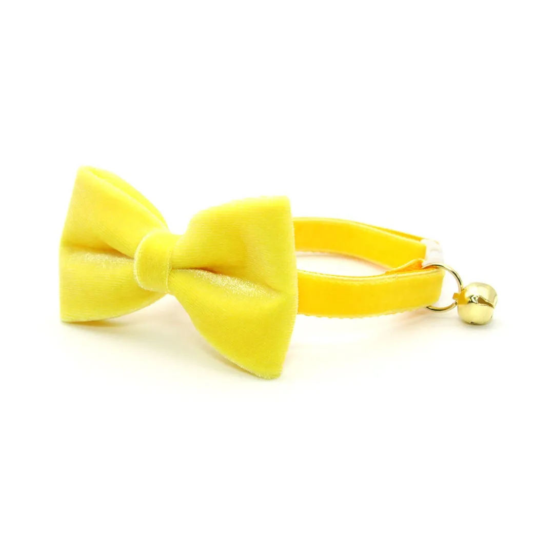Pet Bow Tie - "Velvet - Lemon Yellow" - Light Yellow Velvet Bow Tie for Cat / For Cats   Small Dogs (One Size)
