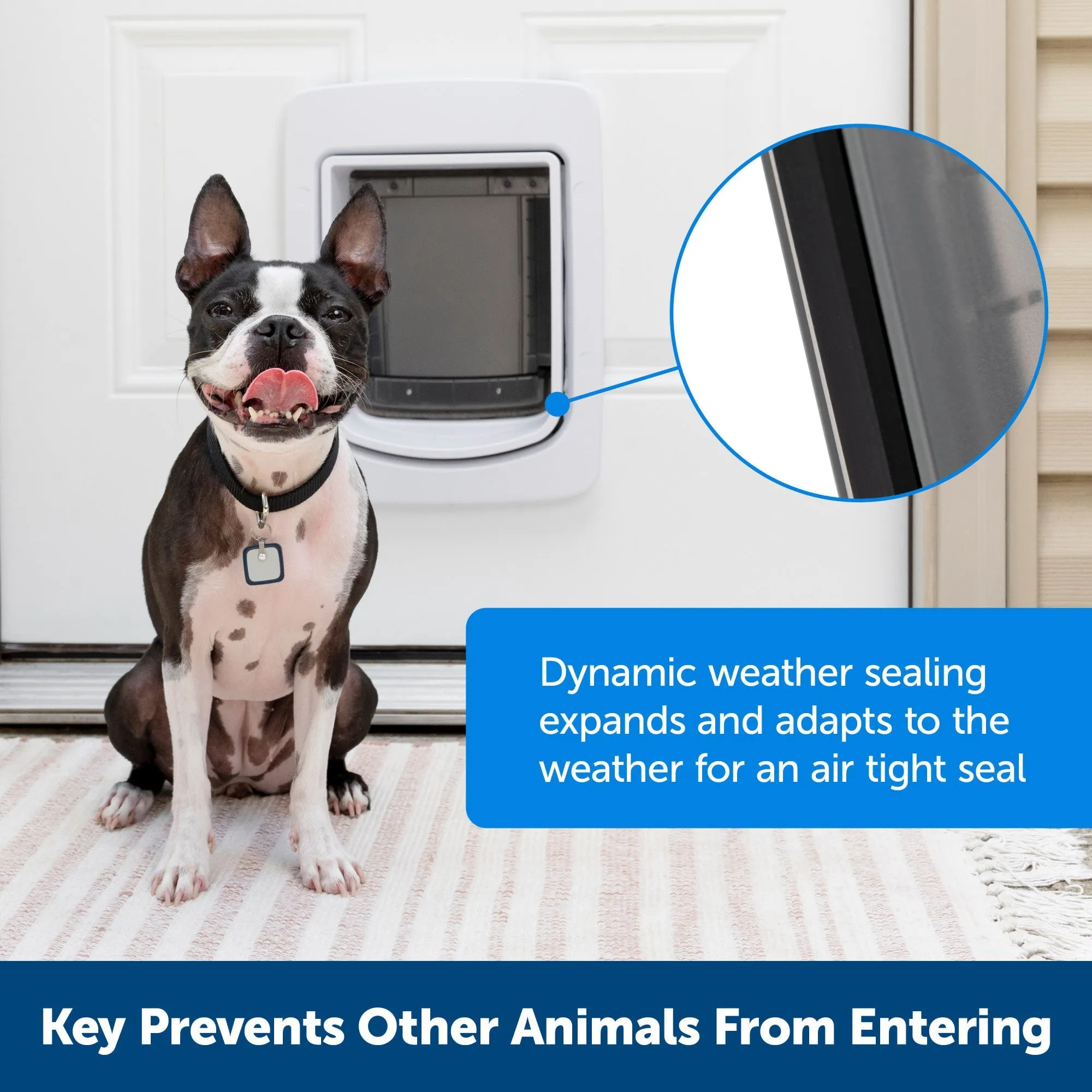 PetSafe® NEVER RUST SmartDoor™ Connected Pet Door, Dog and Cat, Large