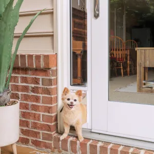 PetSafe® Sliding Glass Pet Door, 2-Piece, Small