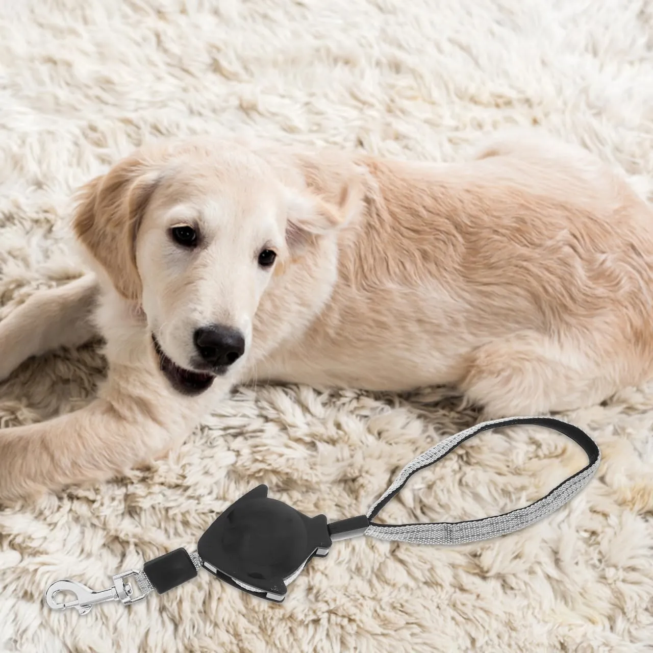 Retractable Dog Leash Dog Walking Leash, Hands Dog Leash Pet Telescopic Traction Rope Belt for Running Jogging Hiking (Black)