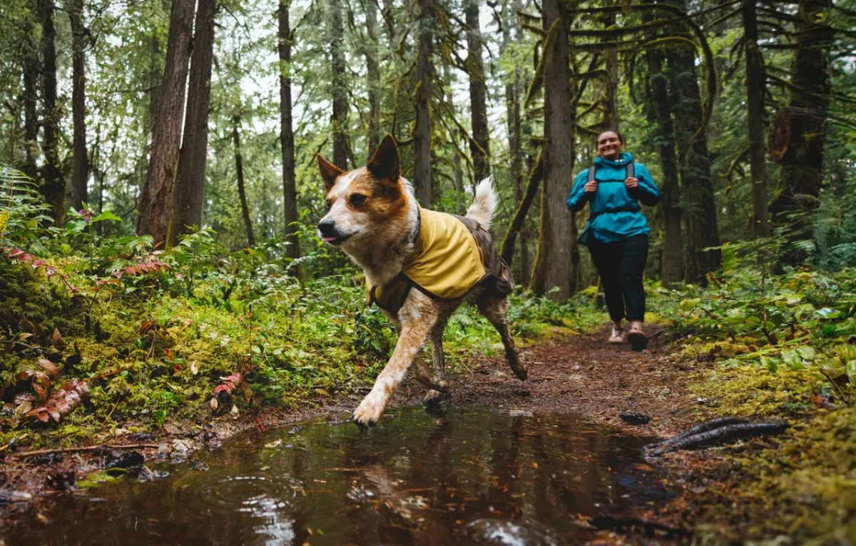 Ruffwear Sun Shower Dog Raincoat-Assorted Colours