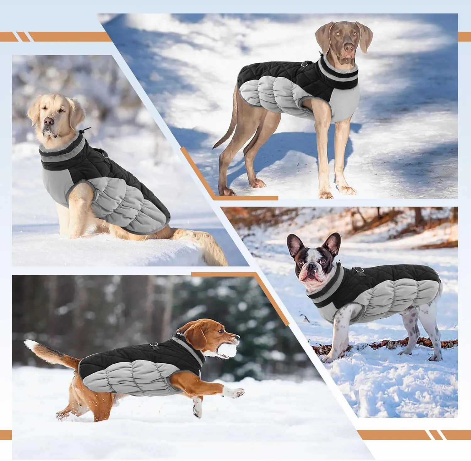 Small Dog Coat,Dog Jackets for Small Dogs,Warm Winter Jacket, Puppy Coat with Harness Built in,Waterproof Dogs Jacket,Puppy Cold Weather Coats,Winter Clothes Snowsuit Shih Tzu Bichon,Black