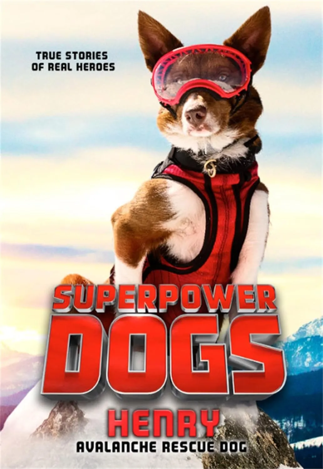 Superpower Dogs: Henry: Avalanche Rescue Dog Paperback  June 4, 2019