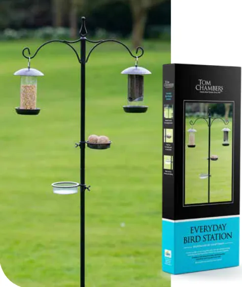 Tom Chambers Everyday Bird Station