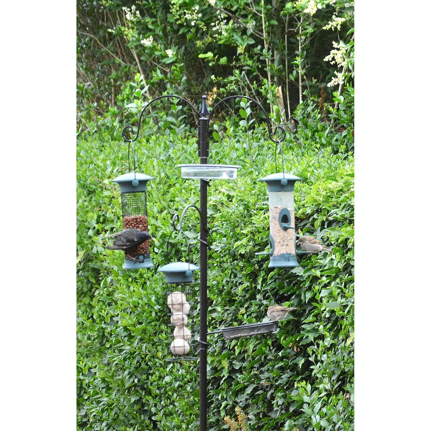 Wild Bird Feeding Station 3 Feeder Brackets Tray Water Dish 2m
