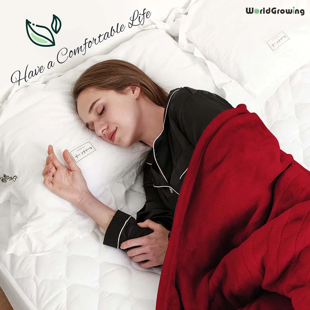 Worldgrowing 62"x84" Electric Blanket for Home & Office | Flannel Fast Heating